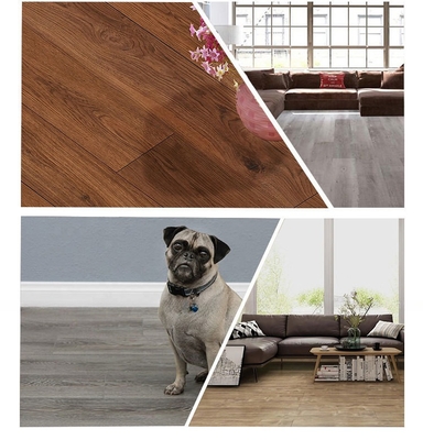 Easy Click LVT Peel and Stick Vinyl Plank PVC Floor Mat Adhesive Tile Scratch Solution for Indoor